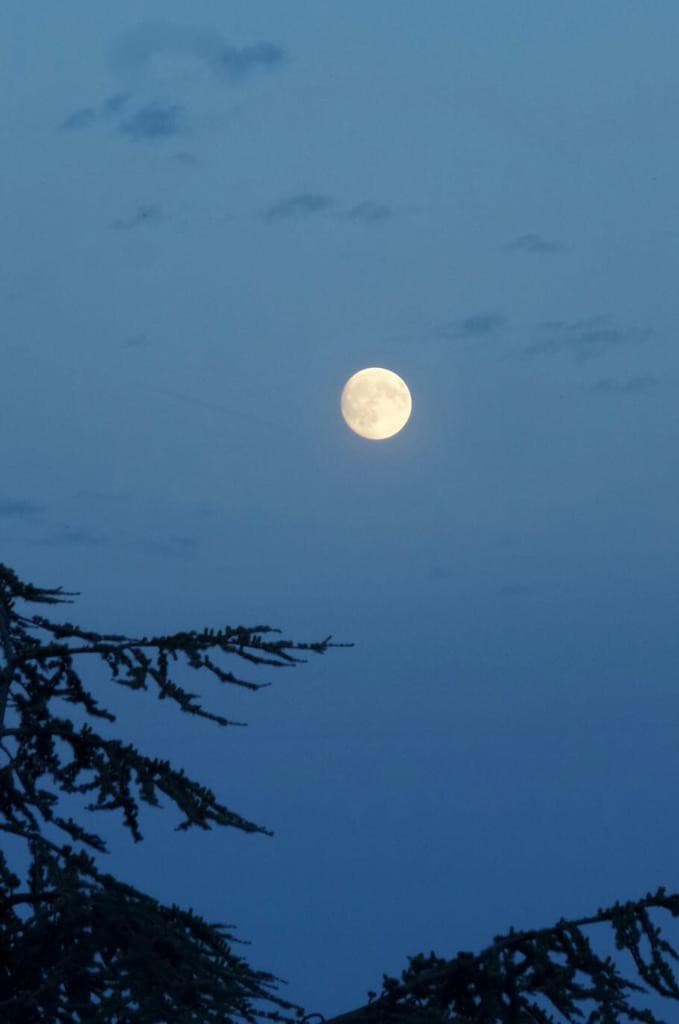 Per una volta sono riuscita a fare una foto decente alla luna ye☻