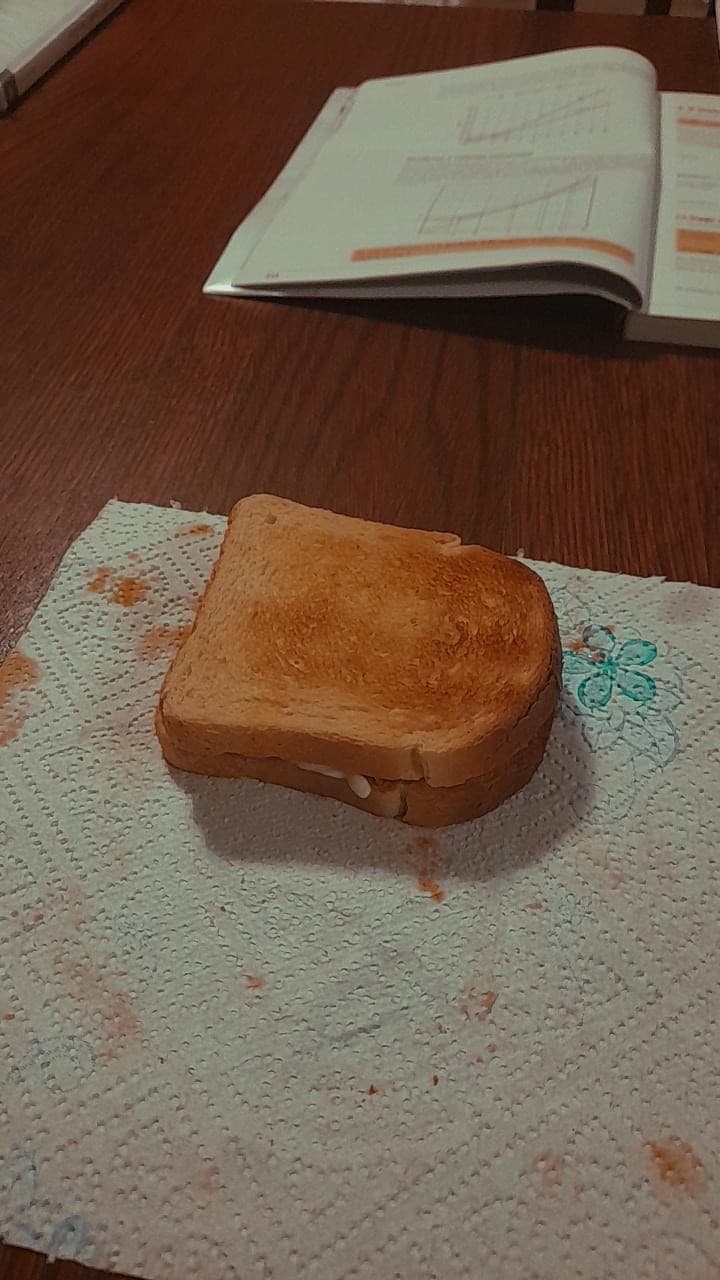 Invece di finire i compiti mi sono preparato un panino alla nduja, crema di carciofi e stracchino