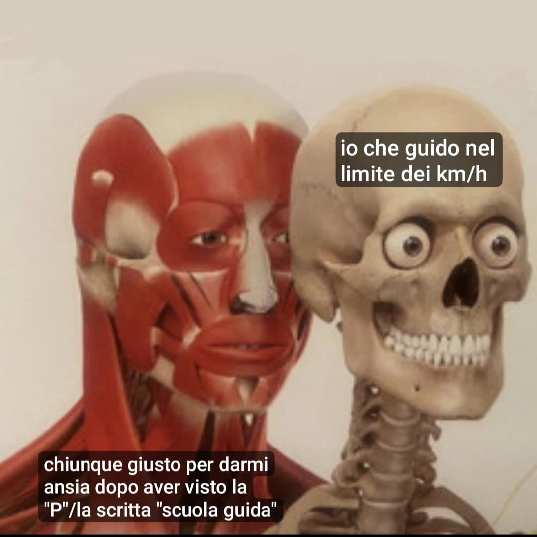 per questo motivo odio guidare 