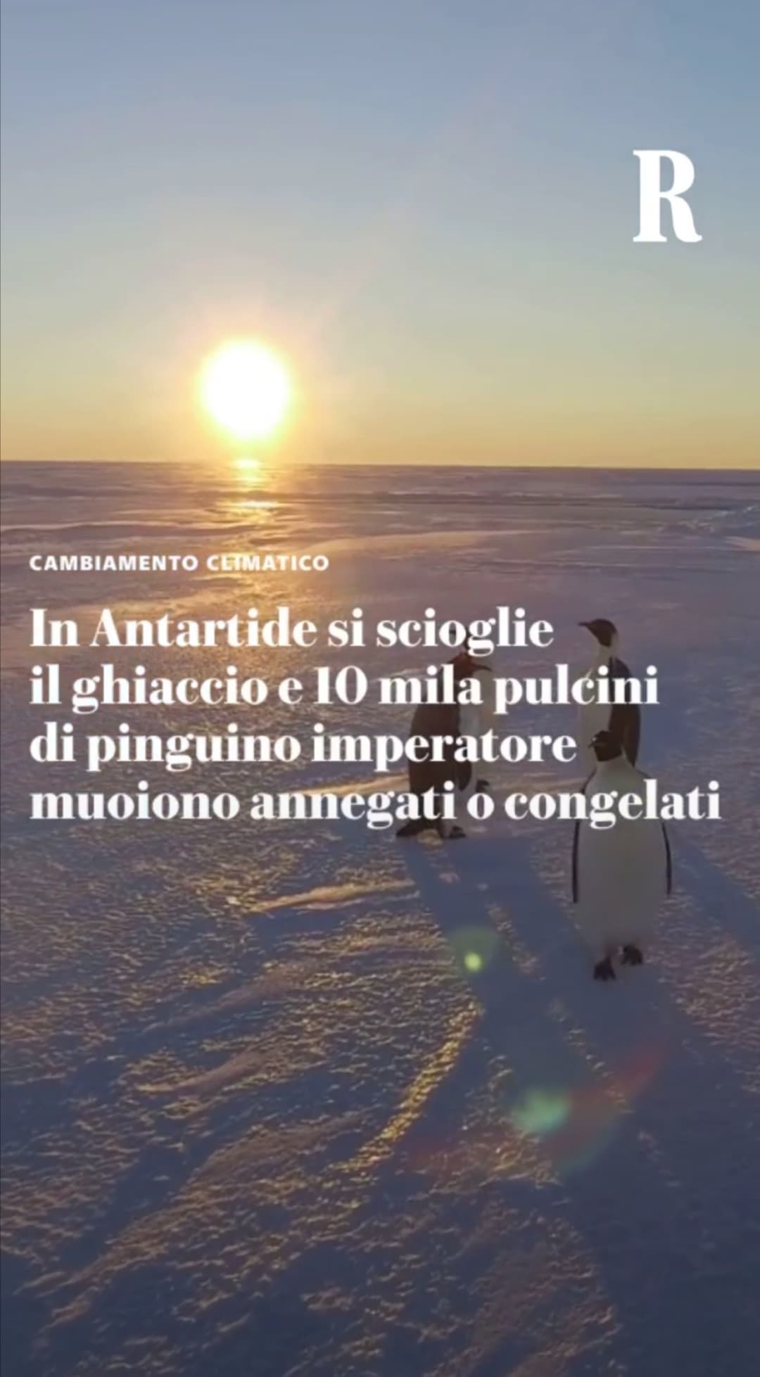 A proposito di cambiamento climatico, non è normale che nel giro di un'ora la temperatura si è abbassata di ben 6°C. 