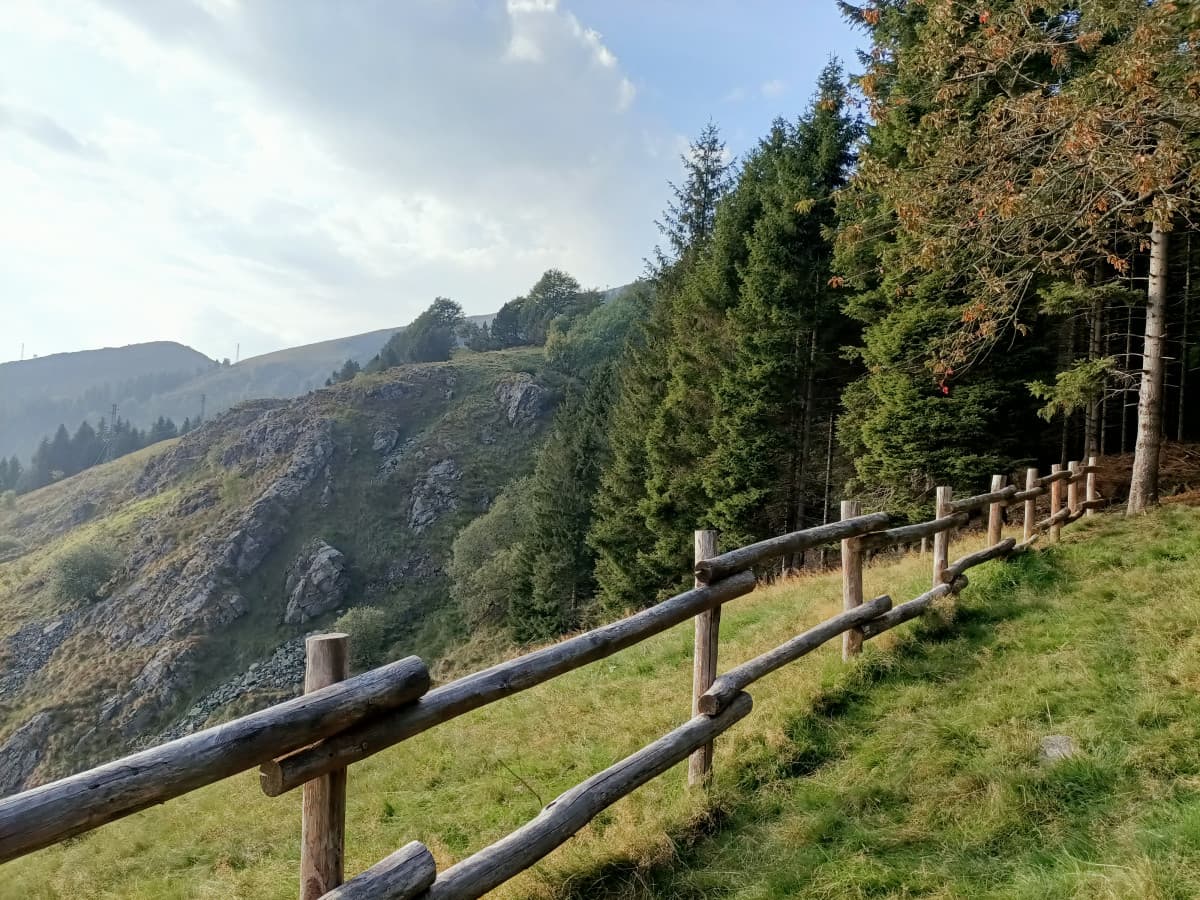 Foto di ieri
Vi racconto com'è andato il primo giorno