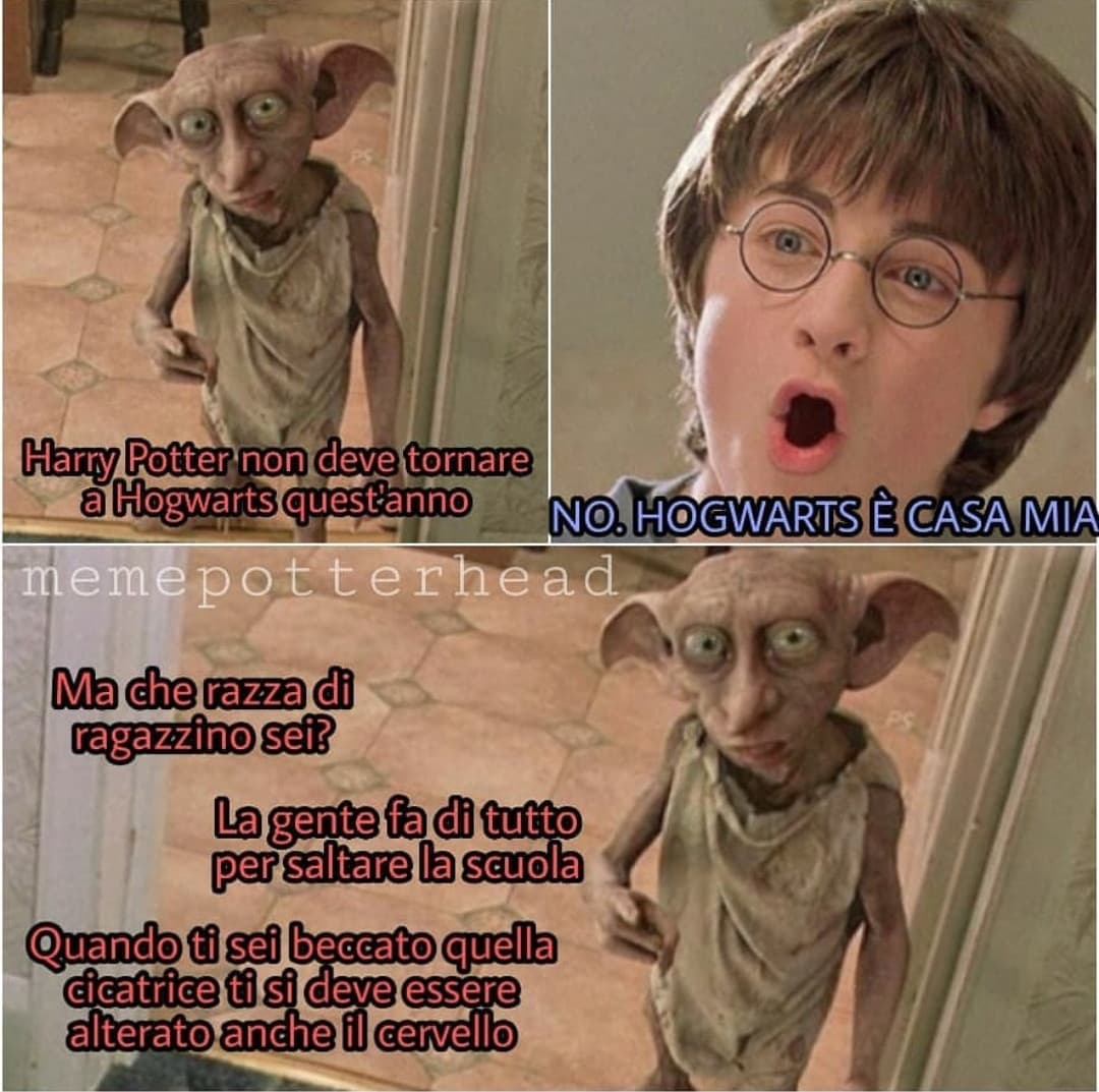 Vi piace HARRY POTTER? 