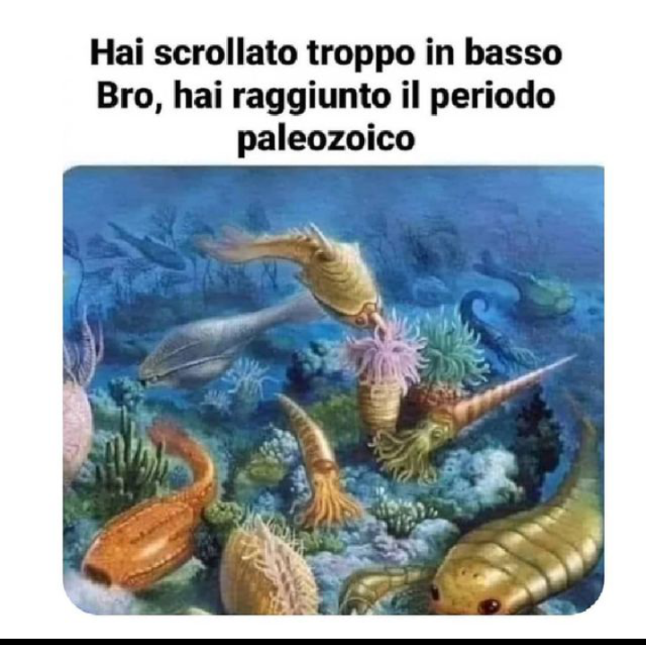 bro cavolo..fai attenzione 