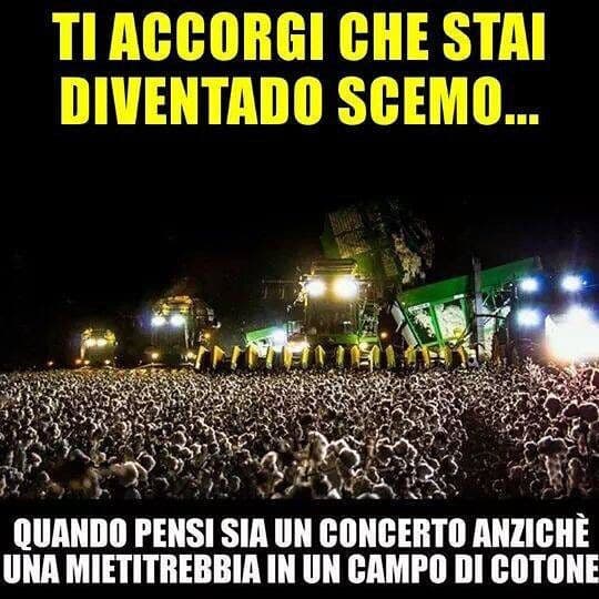 SIETE TUTTI SCEMI!