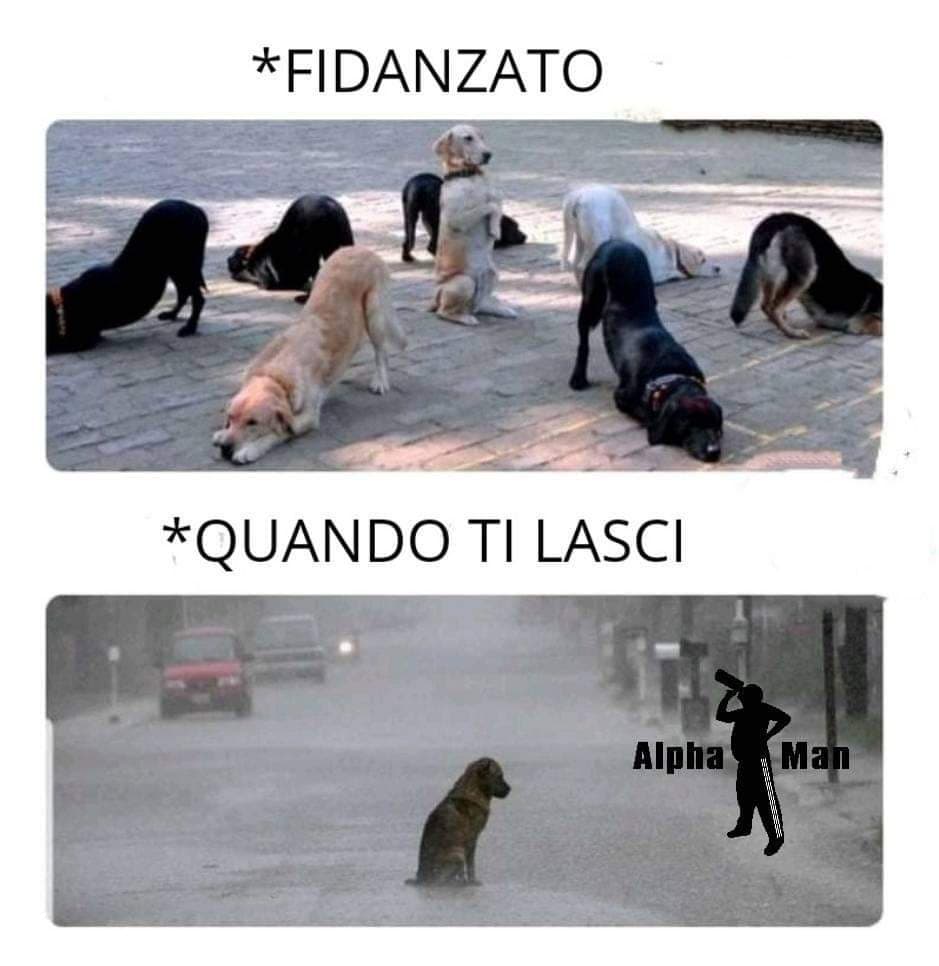 Verità assoluta 