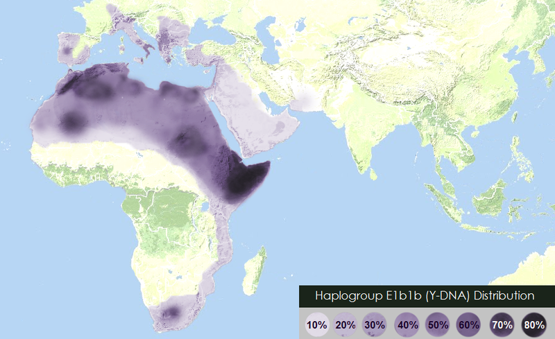 DNA nordafricano in Africa, Medio oriente ed Europa. Sempre detto che dalla provincia di Salerno in giù siamo africani. 