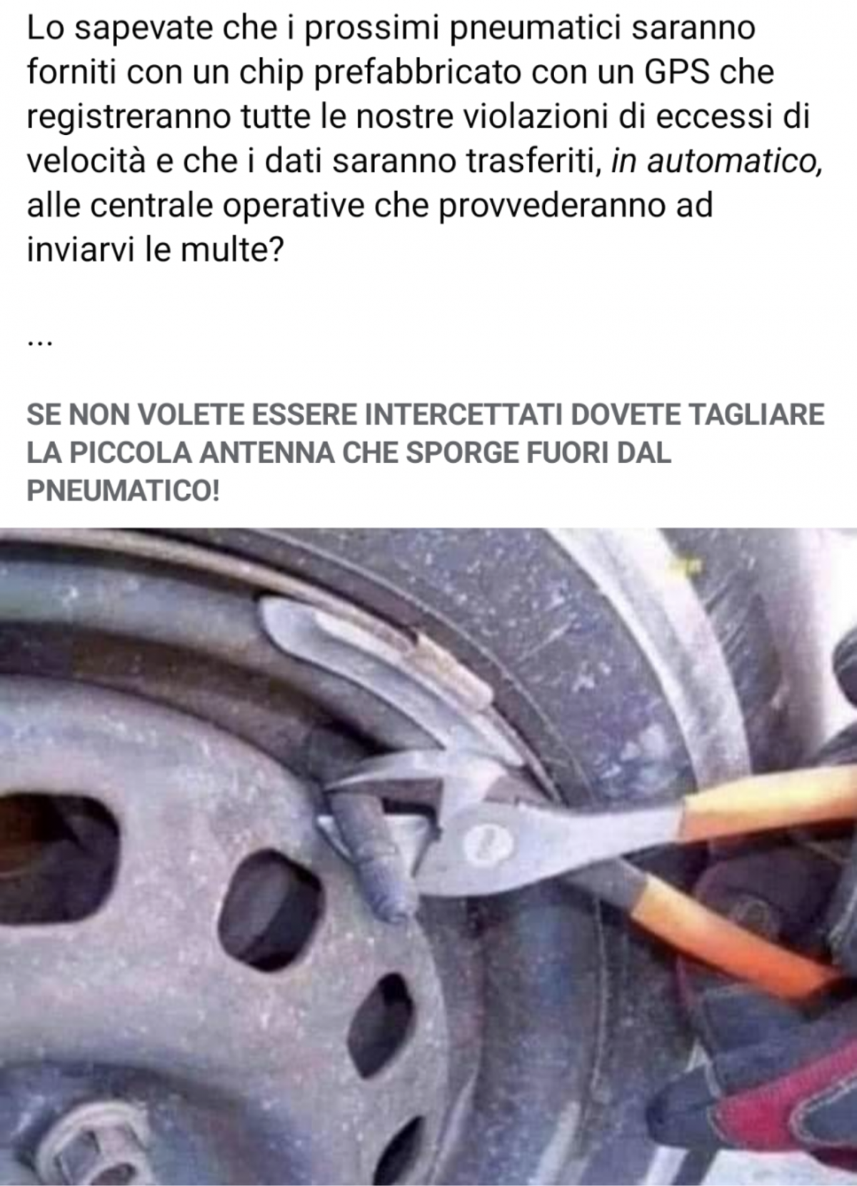 FATE GIRARE