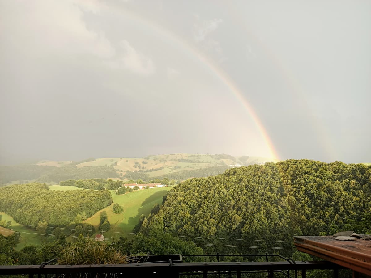 Chi viene con me a rubare l'oro ai Leprecauni?