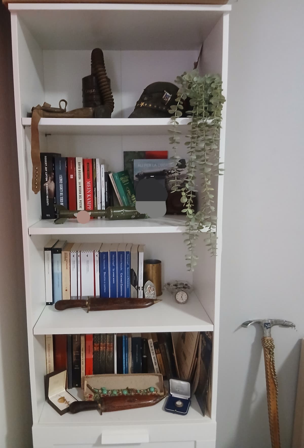Libreria di camera mia cioè une delle due, però è quella con le cose più fiche