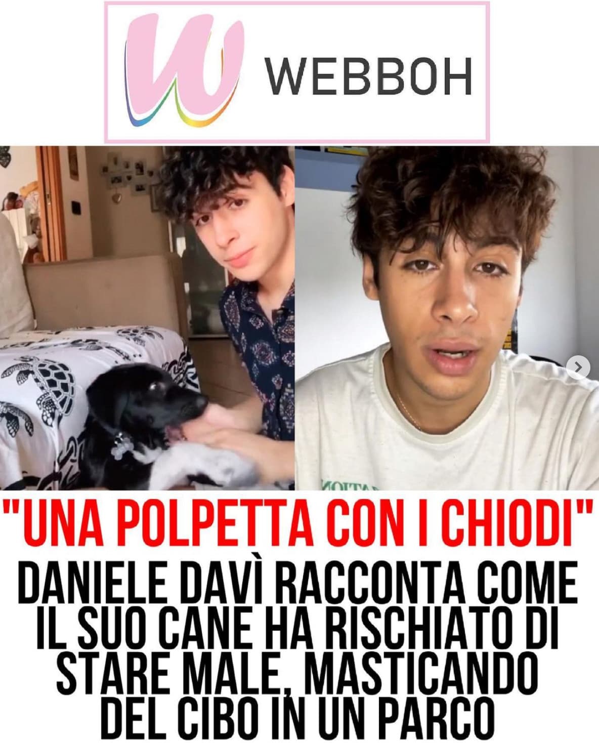 Schifo.