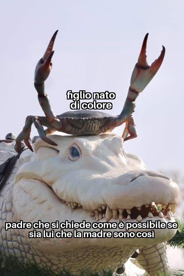 e niente fa già ridere così...