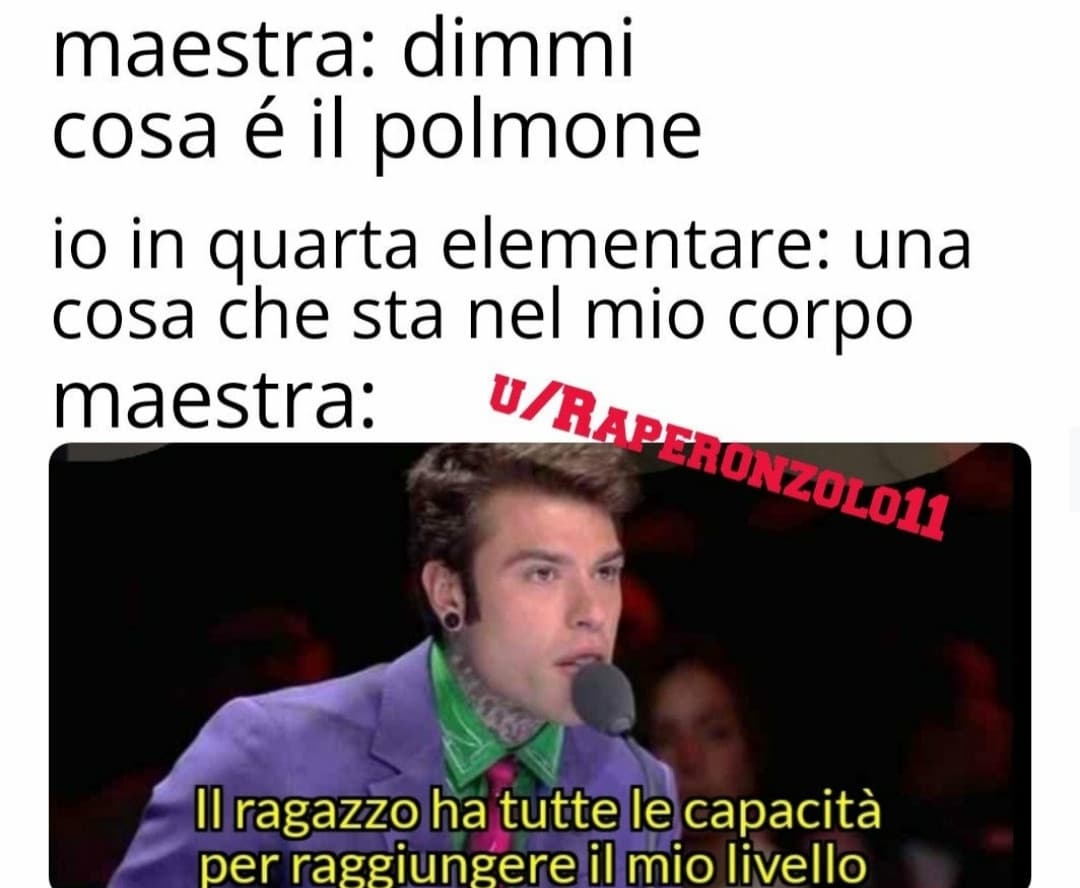 I meme sono l'unica cosa che mi rallegra.