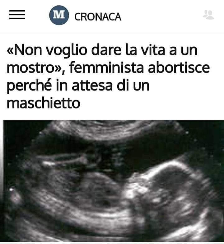 attenzione: questo non è un meme.