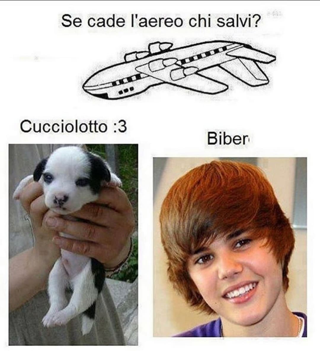 Ma che domande sono scusate, c'è veramente qualcuno che salverebbe Bieber??