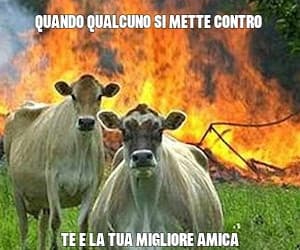 ?
