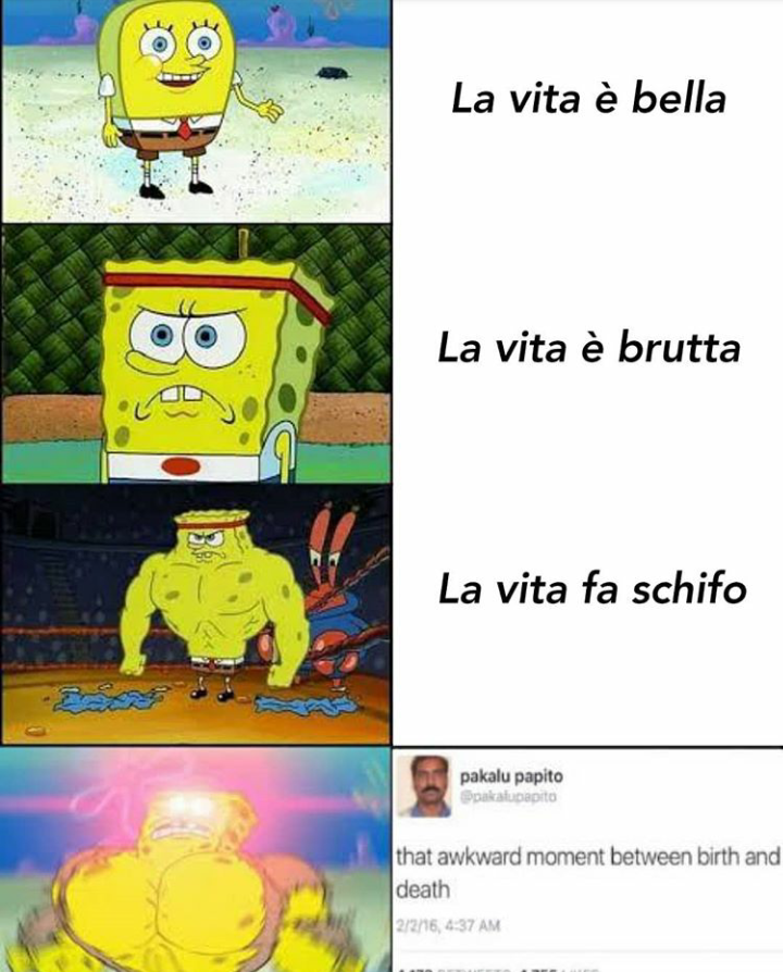 Io sono ottimista quindi la vita è bella (ma non si esclude che non abbia fatto altre cose).