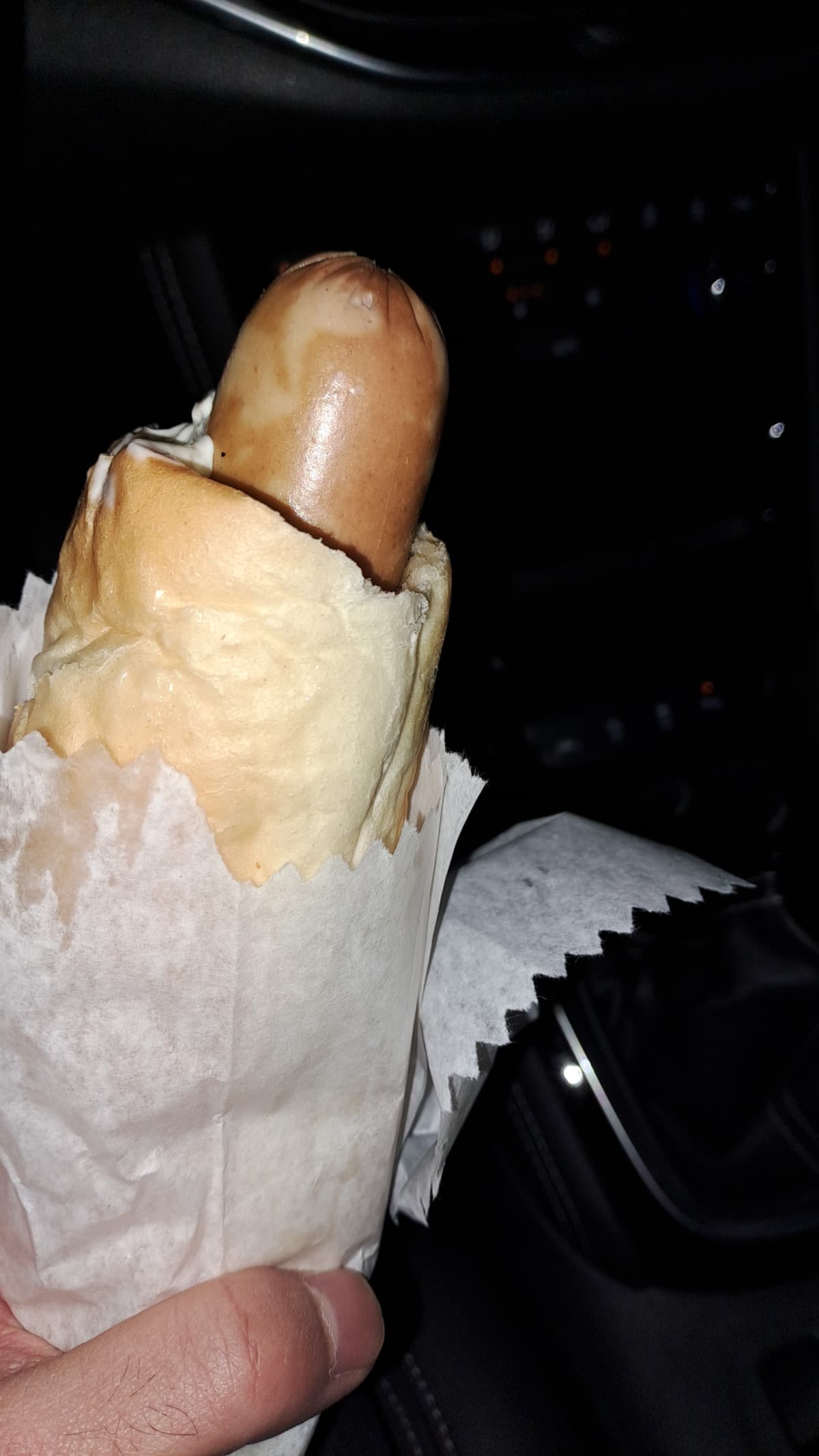 Secondo me hanno fatto apposta questo hot dog così...ma l'ho mangiato comunque in macchina mentre fuori si congela