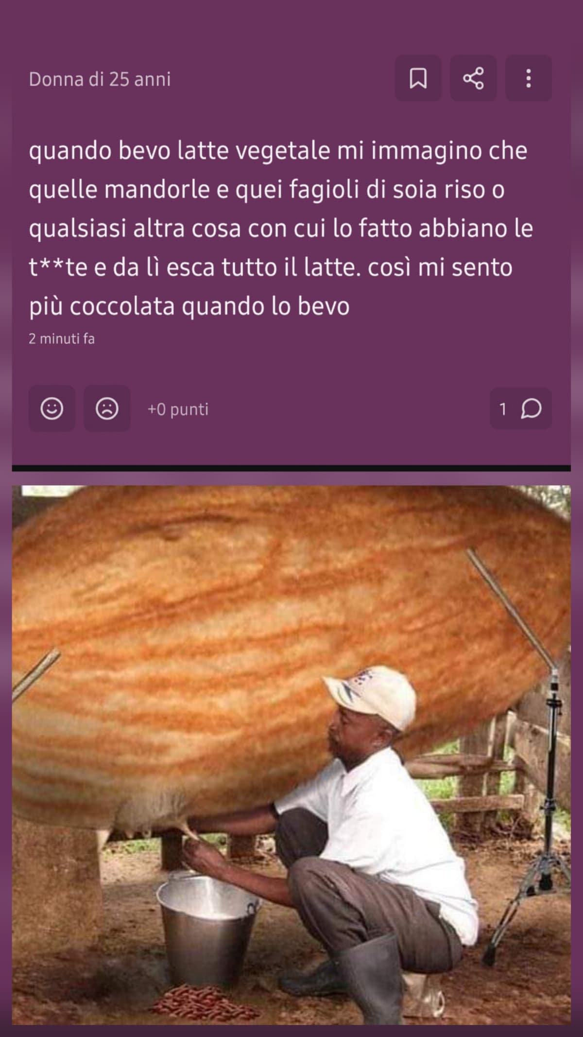 Quello che immagina la bro