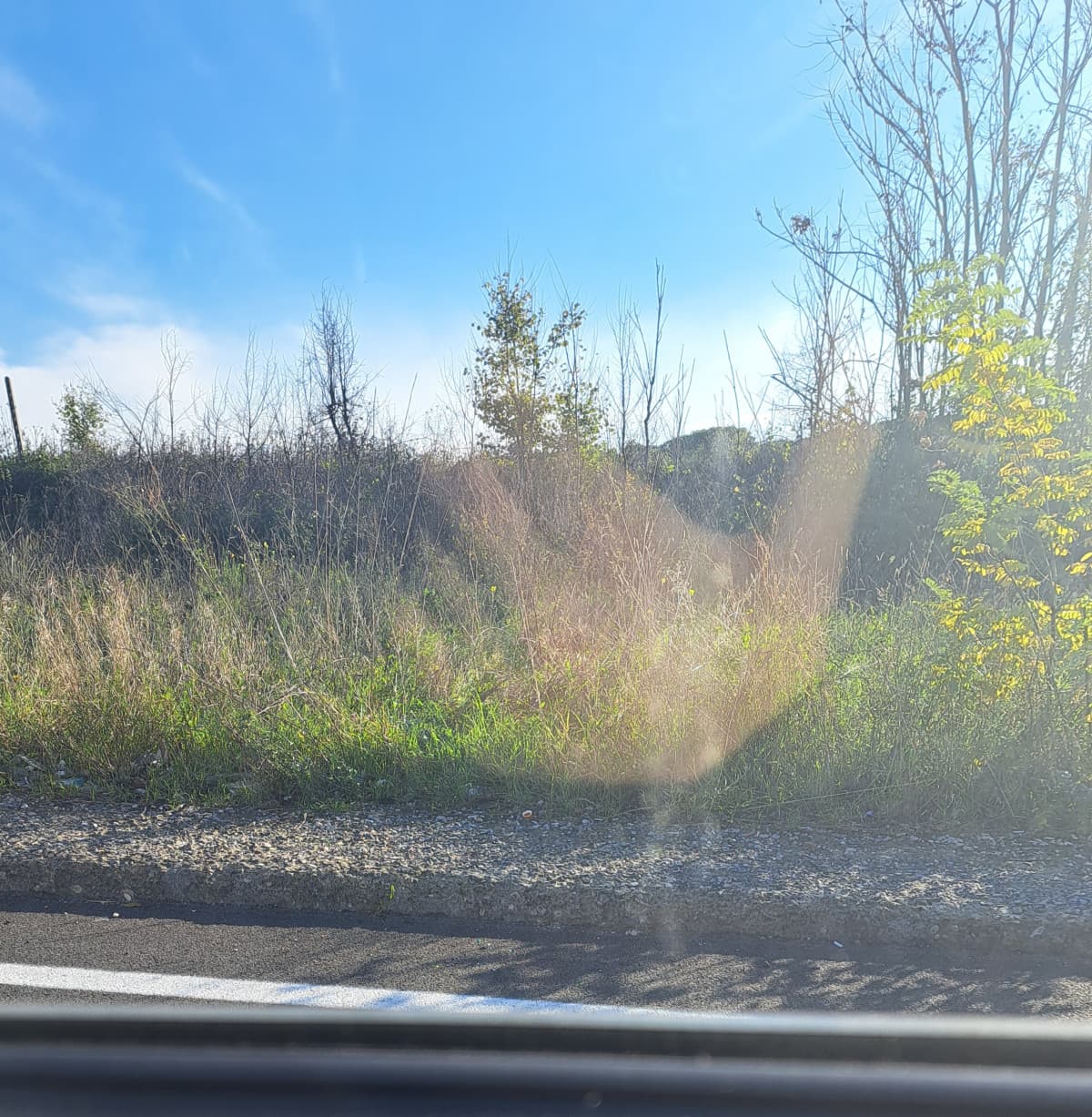 In autobus direttamente da scuola a pattinaggio, vorrei correre e buttarmi in quei prati, vivere la mia vita come fosse un sogno,  invece di fare questa maledetta routine 