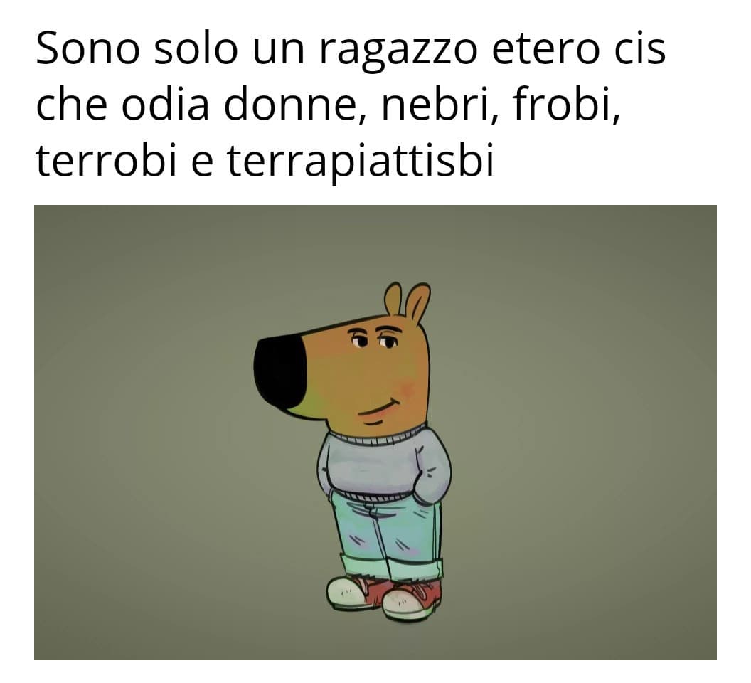 Non ho capito questo meme del ragazzo chill. Devo insultare tutti a caso?