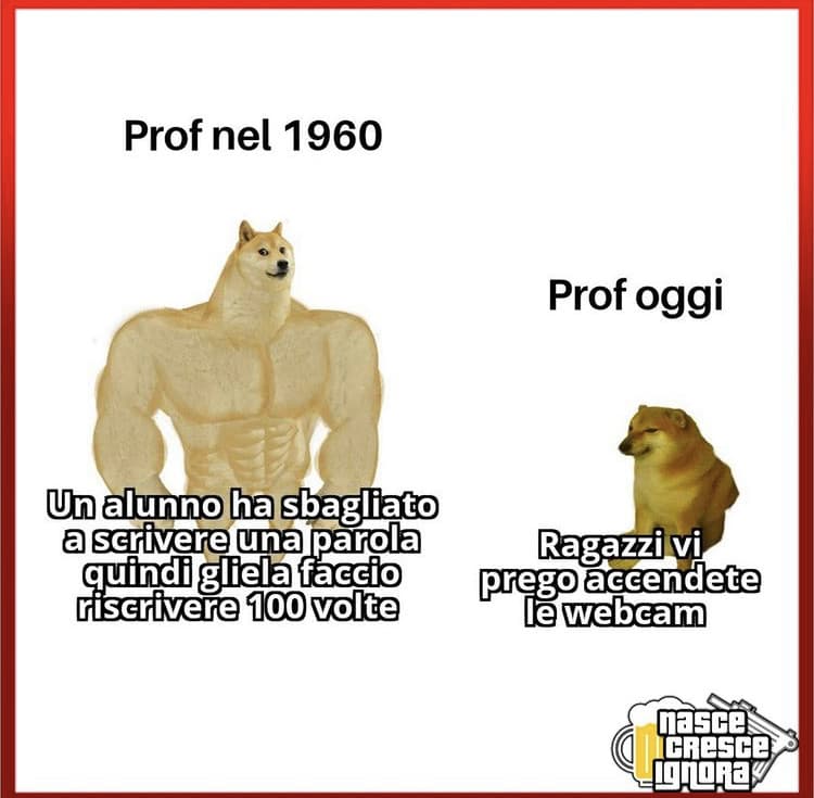 da nascecresceignora 