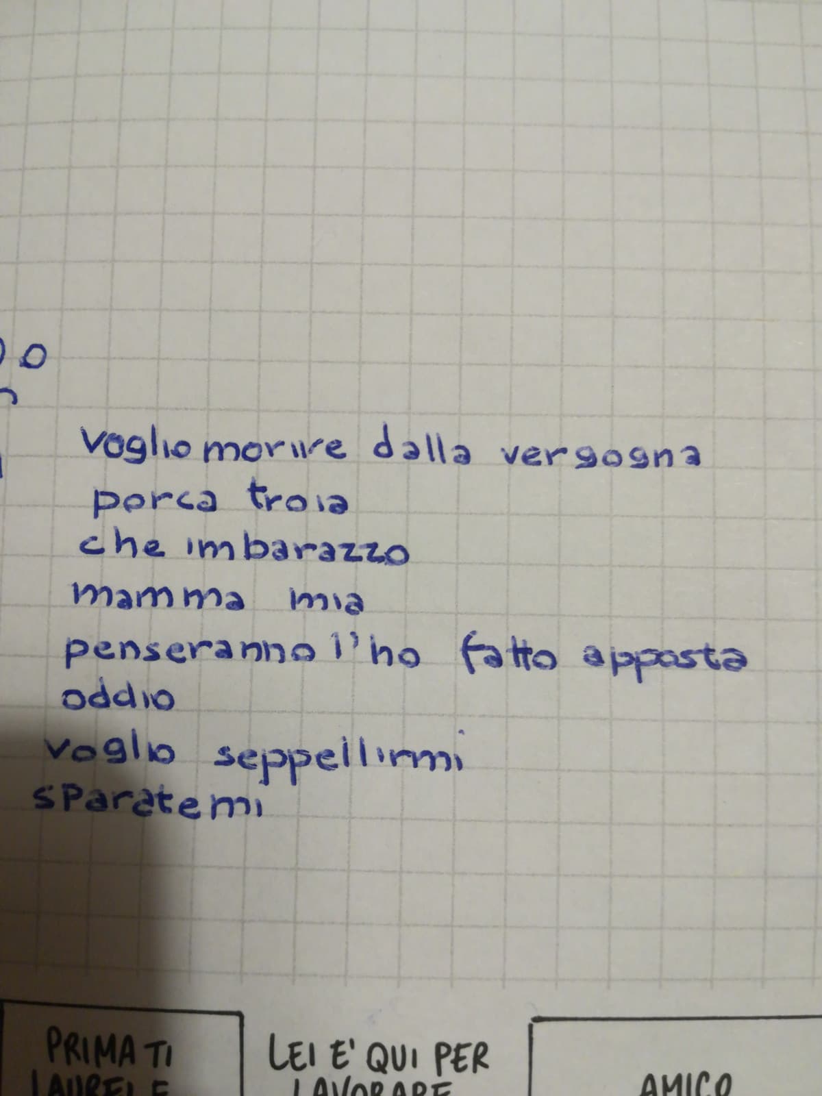 Io che scrivo sul mio diario dopo aver fatto una figura di merda per fingermi impegnata