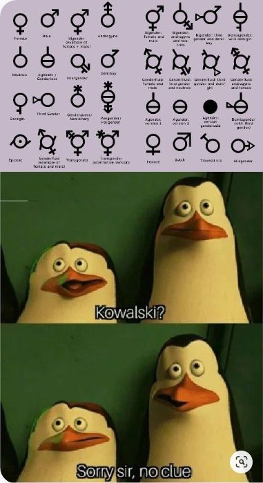 kowalski, analysis 