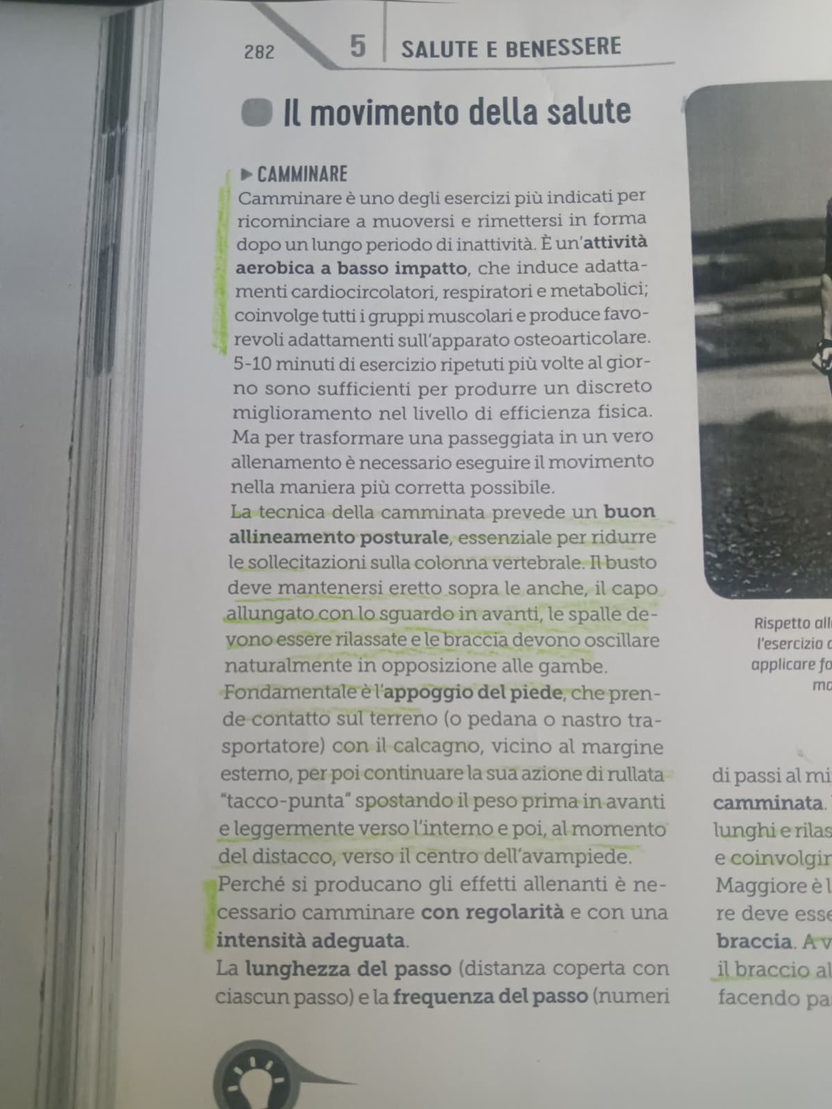 Io che devo studiare da delle fotocopie come si cammina per un'interrogazione di scienze motorie ☠️