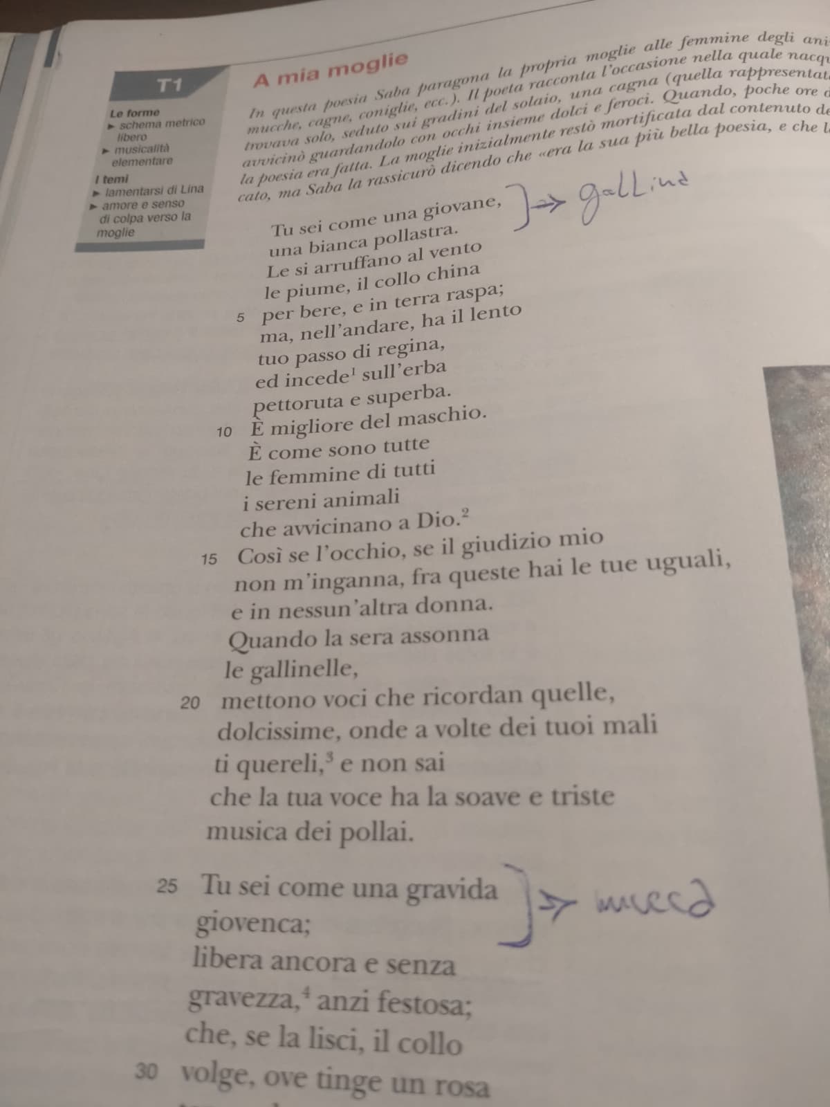 U.Saba che dedica una poesia alla moglie in cui la paragona agli animali della fattoria