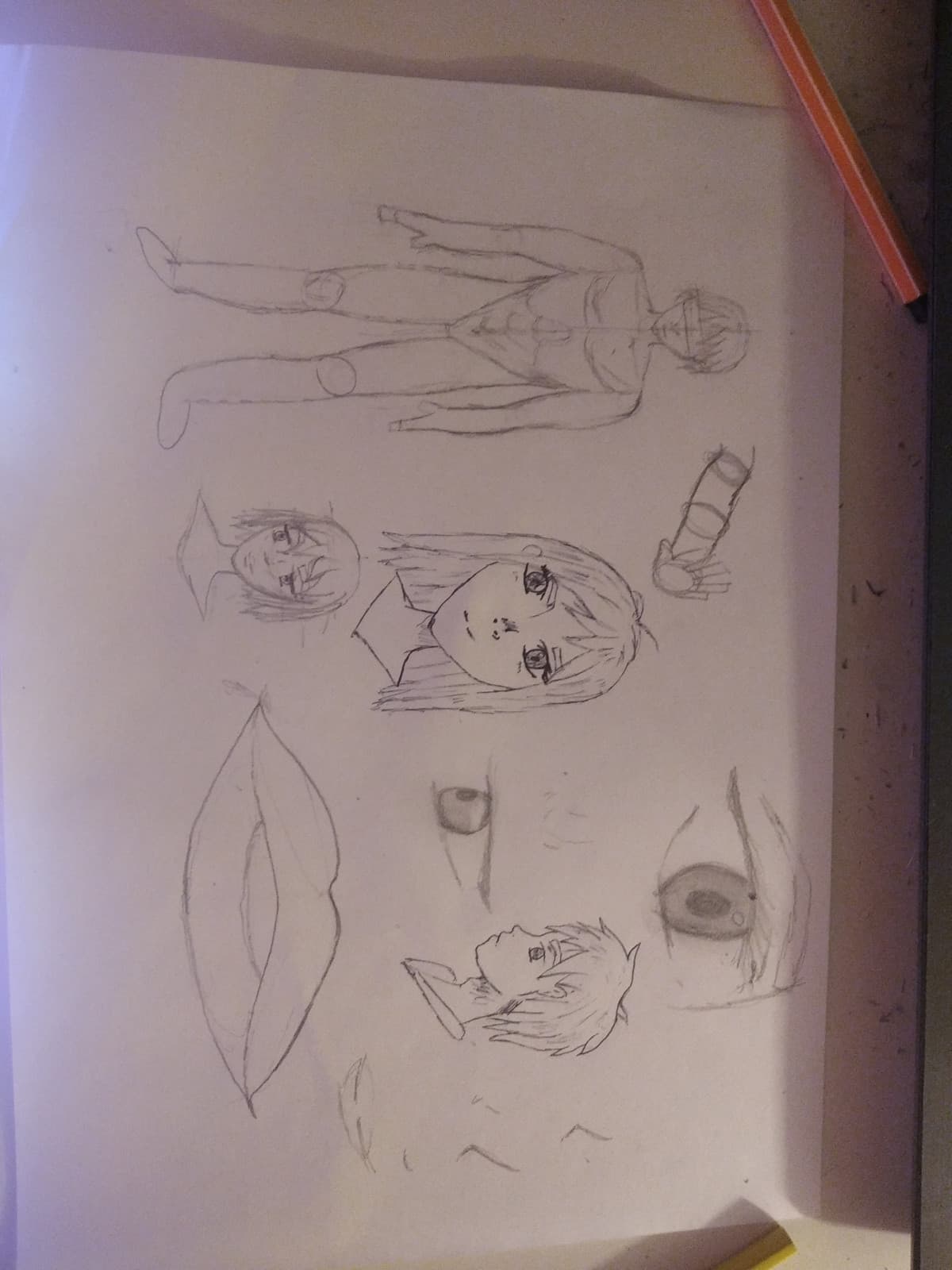 Giorno 1 nel provare a disegnare manga 