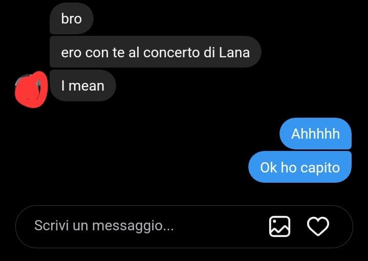 Non sono mai stata a un concerto di Lana del Rey lol. 