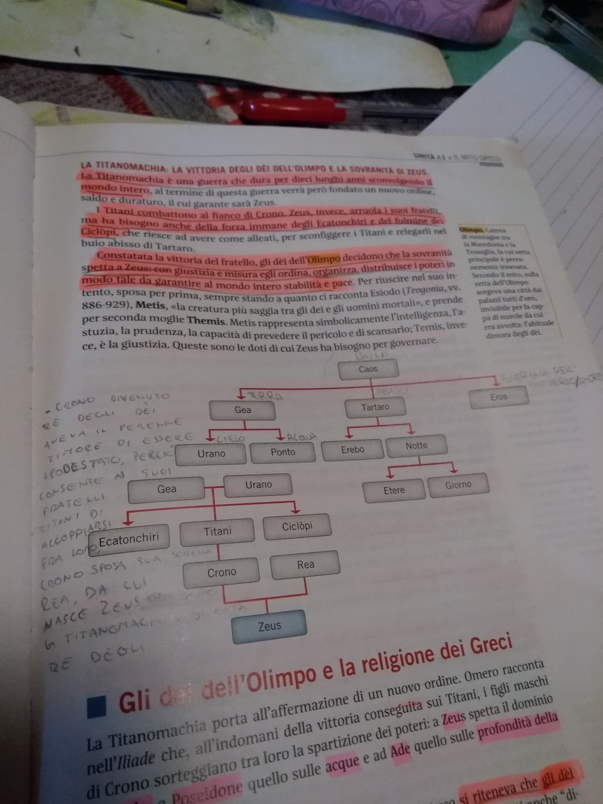 TU, lurido libro, vuoi insegnare A ME, che cos'è la mitologia grecaaa?? MA PERFAVORE VA