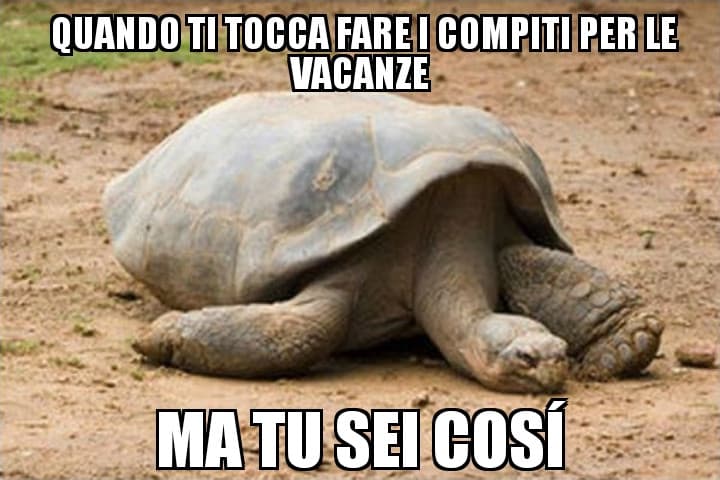 Eh....giá ma c'é ancora tempo per farli