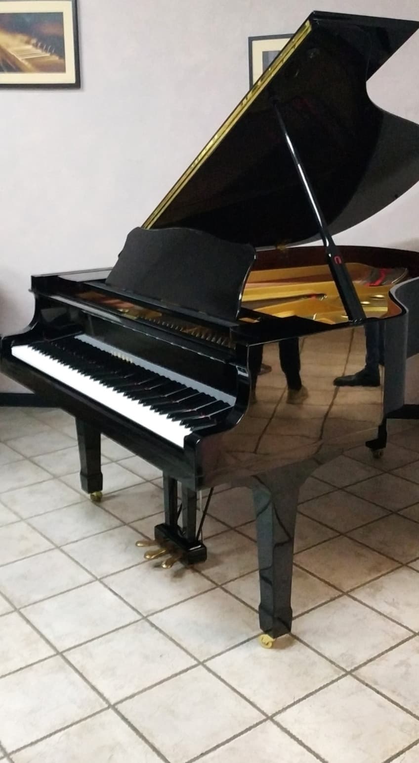 Sono quello che giorno fa ha scritto sul pianoforte a coda nuovo che avrebbe avuto da lì a poco, eccolo qui :)