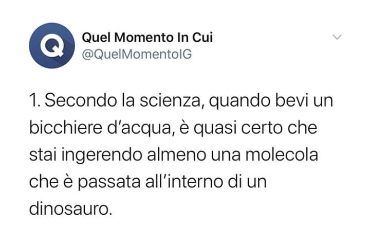 Faccio parte della storia