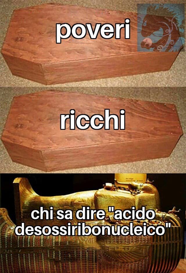 Acido desossiribonucleico is love, acido desossiribonucleico is life