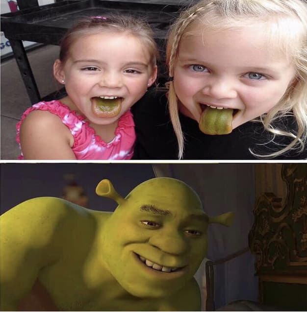 shrek è amore shrek è vita