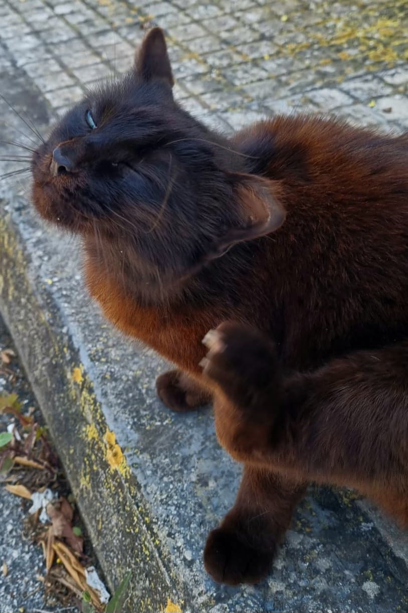 Io quando passo l'intera giornata ad ascoltare le stesse stronzate da quando mi alzo dal letto fino a quando non mi ributto dentro. 😑😑😑