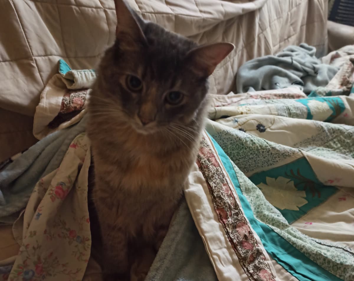 Devo dire che sono ancora nel mio periodo apatico ma qualche giorno fa per la prima volta ho sentito qualcosa. Stavo ascoltando