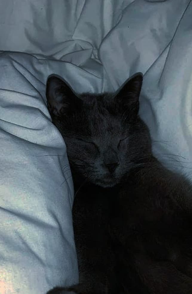 Dorme come una bimba, che carina amore 