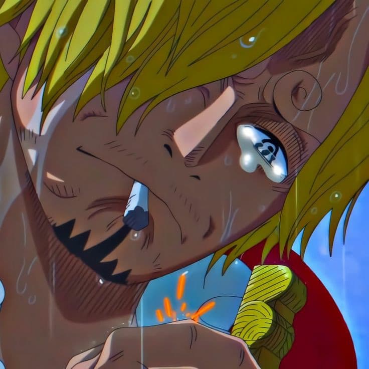 Scherzavo, non odio Sanji, è un bel personaggio🥴