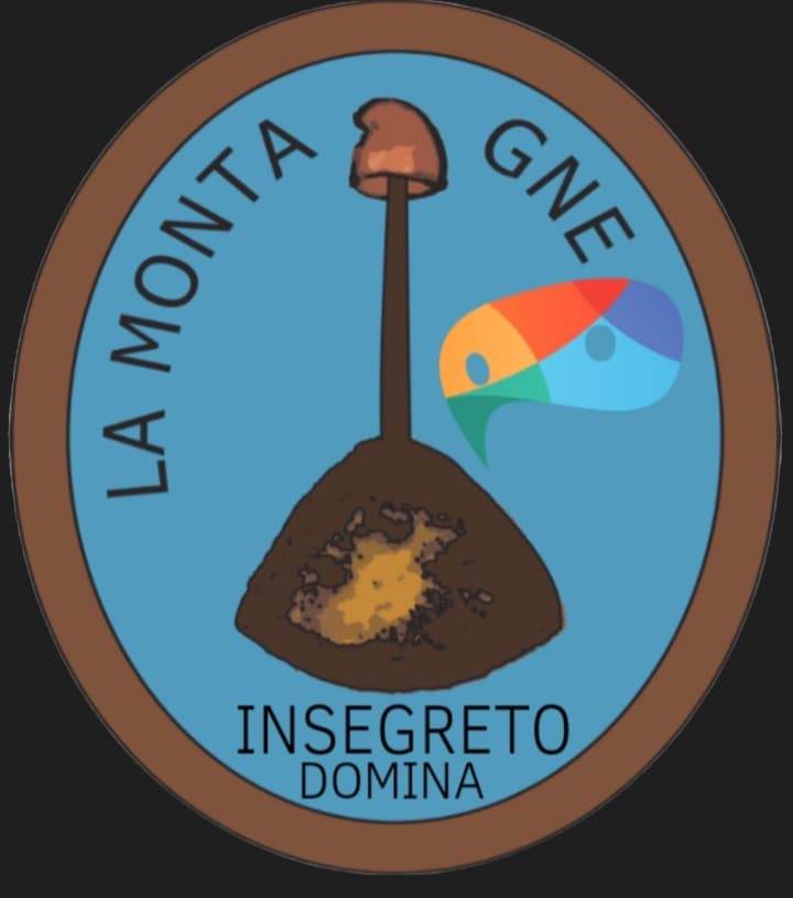 LA MONTAGNA, PROGRAMMA