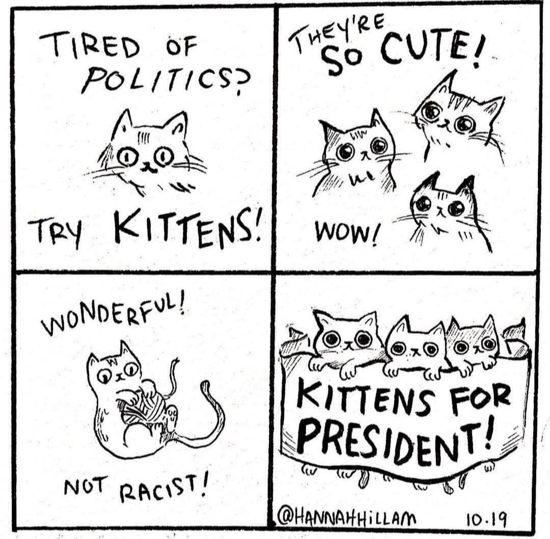 Kittens for president!!