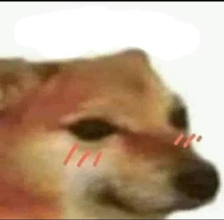 sono le 00:36 domani c’è scuola cosa ci fate svegli