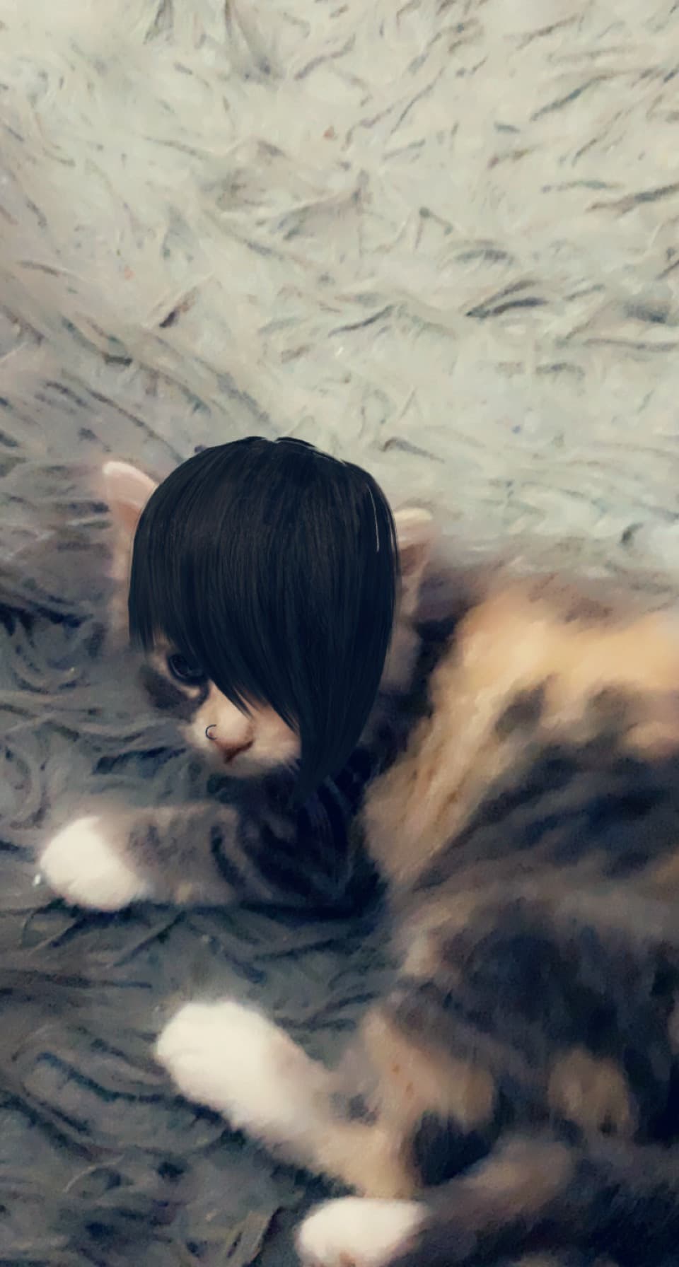 gatto emo di ragazzaemo