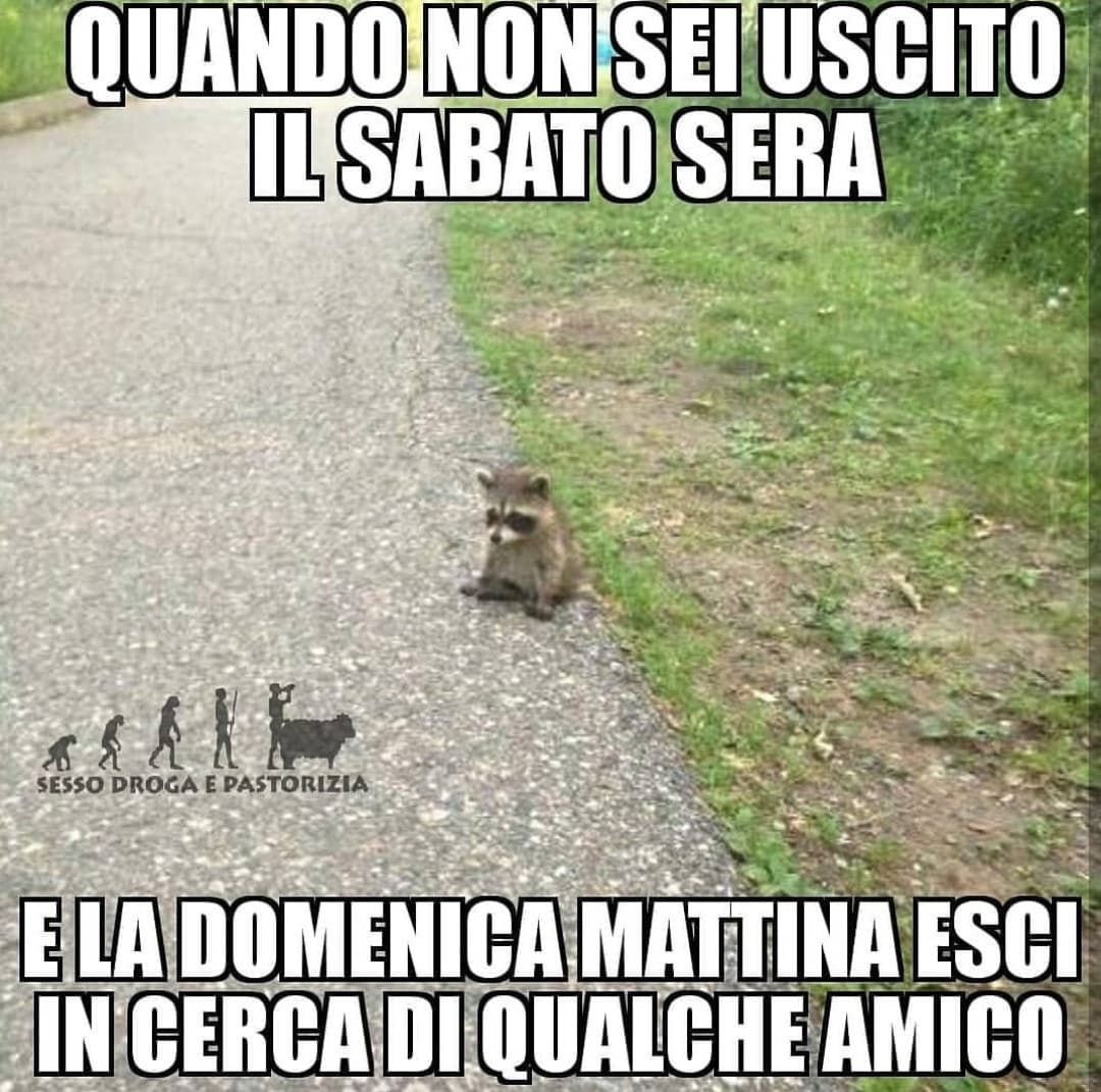 Verissimo.