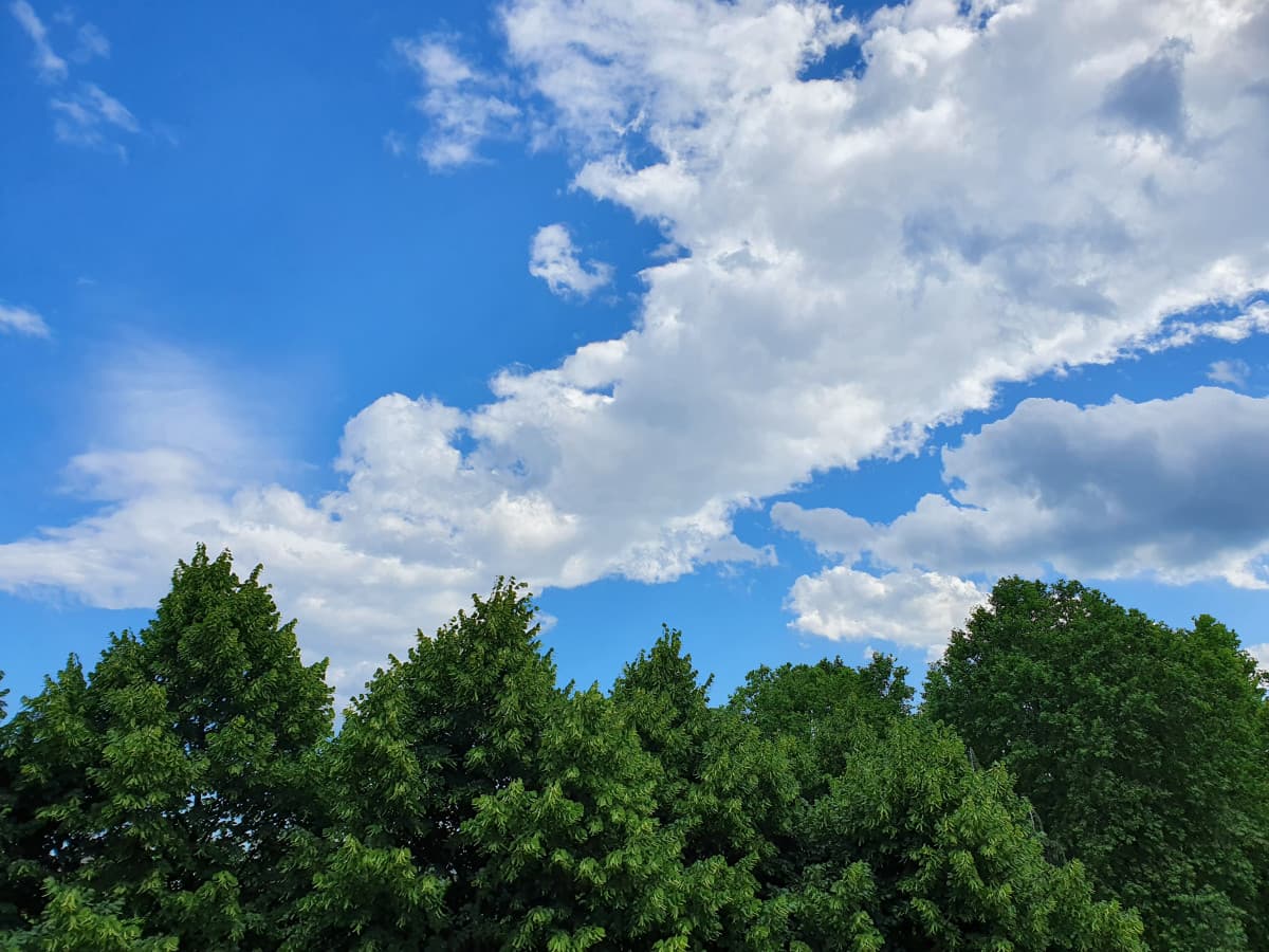 In sta foto il cielo sembra finto, tipo preso da qualche cartolina o ritoccato?