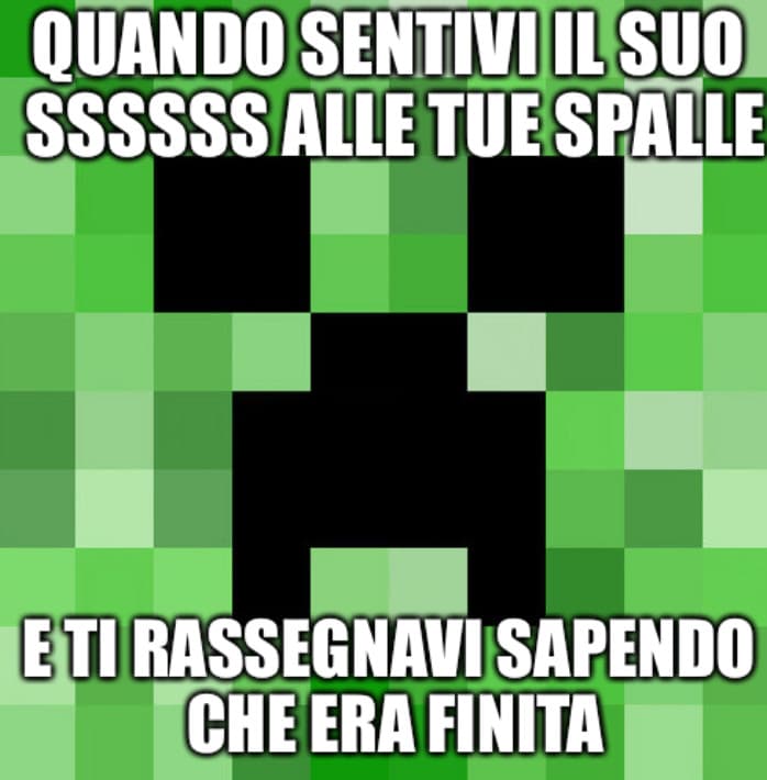 Se non giocavate a minecraft non rompete grazie?