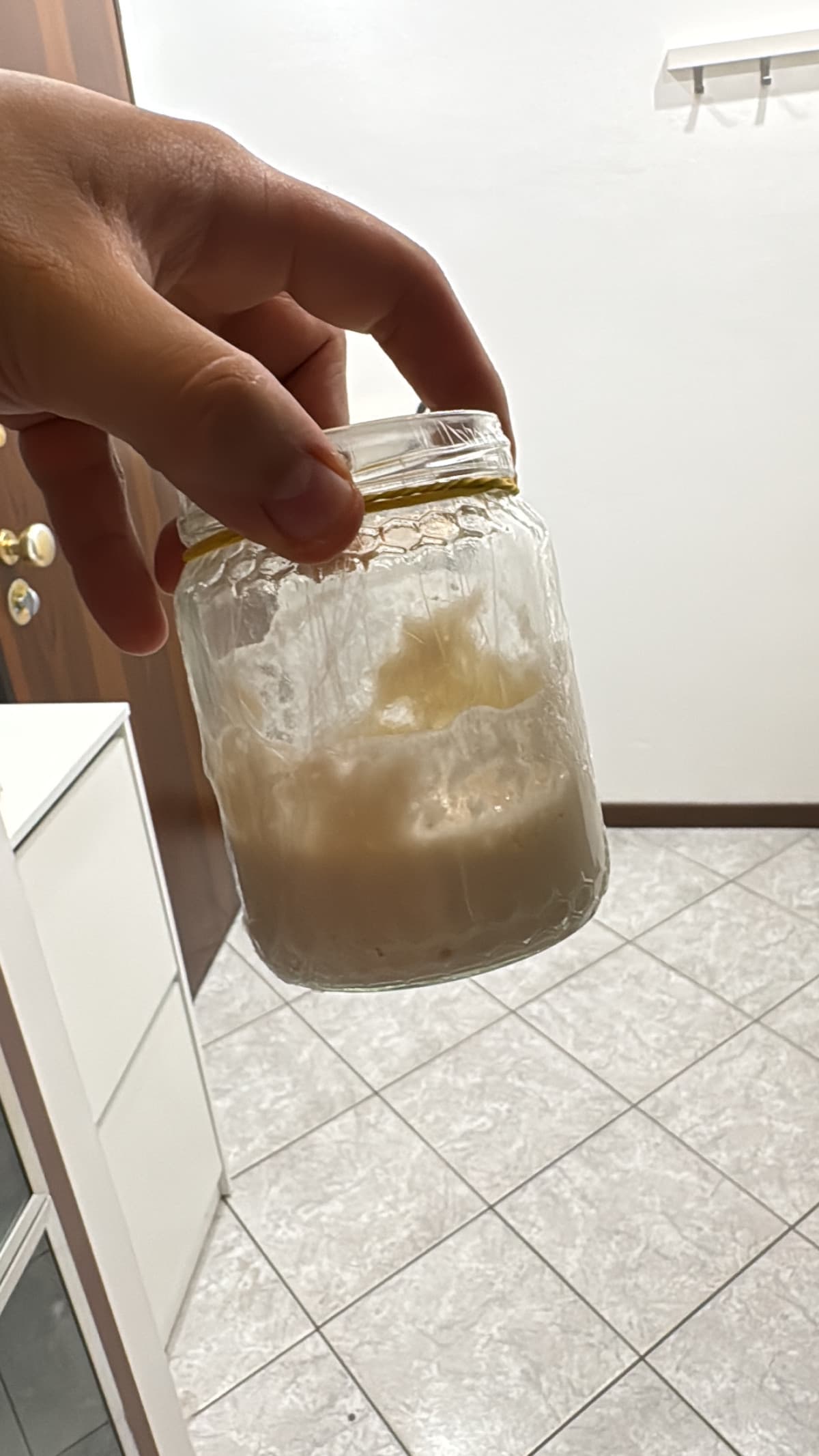 So già che me ne pentirò, ma sto iniziando a imparare a gestire il lievito madre. Vedremo come andrà a finire🫣 tra un mese faccio il panettone