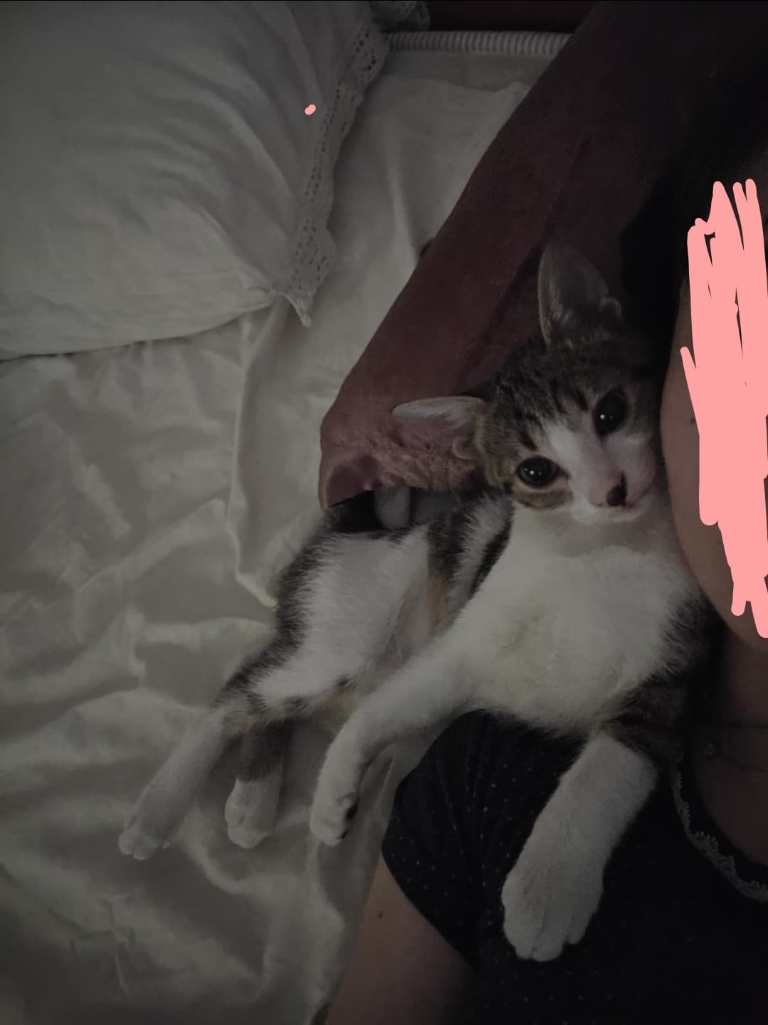 è così carino 🥹❤️